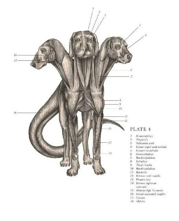 Chimera 40k stl. Химера (винченцо натали, 2009). Sammy beauty тушь для ресниц. Химера инфлюенс. Инфлюенс бьюти химера.