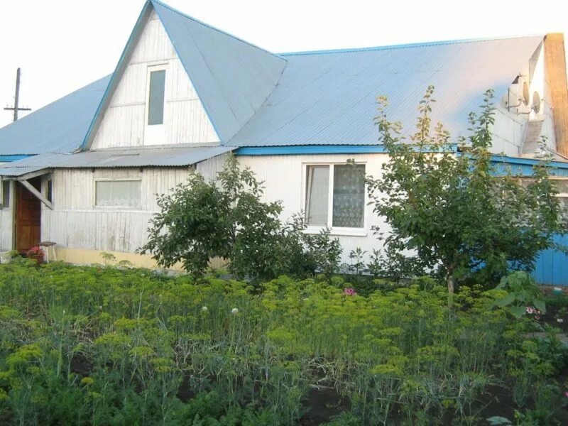 Село кошки Самарская область. Погрузная Самарская область. Село кошки Погрузная. Кошки (Самарская область) домо. Кошки самарская область купить