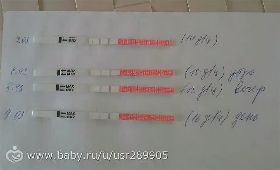 26 день цикла можно забеременеть. На 12 день цикла можно забеременеть. Зачатие на 12 день цикла. Возможно ли забеременеть на 11 день цикла. Возможна ли беременность на 7-8 день цикла.