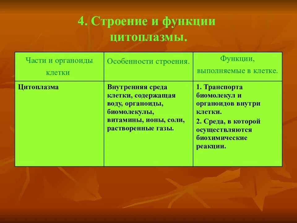 Плазматическая мембрана клетки не выполняет функции. Наружная цитоплазматическая мембрана строение и функции. плазматическая мембрана строение и функции. плазматическая мембрана характеристика. цитоплазма функции органоида.