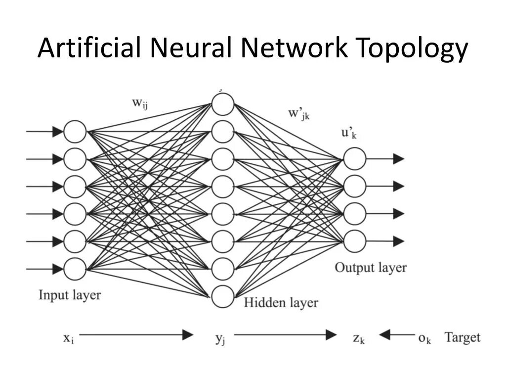 Многослойная нейронная сеть схема. Сверточная нейронная сеть алгоритм. Искусственная нейронная сеть. Модель нейронной сети.