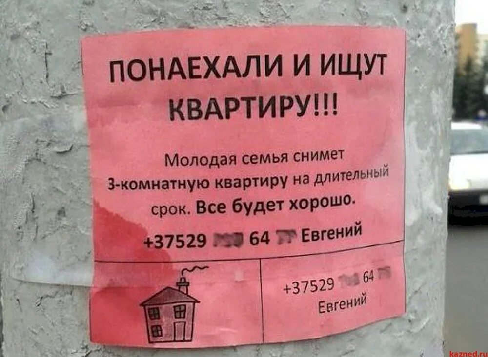 Креативные объявления о продаже. Смешные креативные объявления. Смешные объявления. Необычные объявления. Интересные объявления.