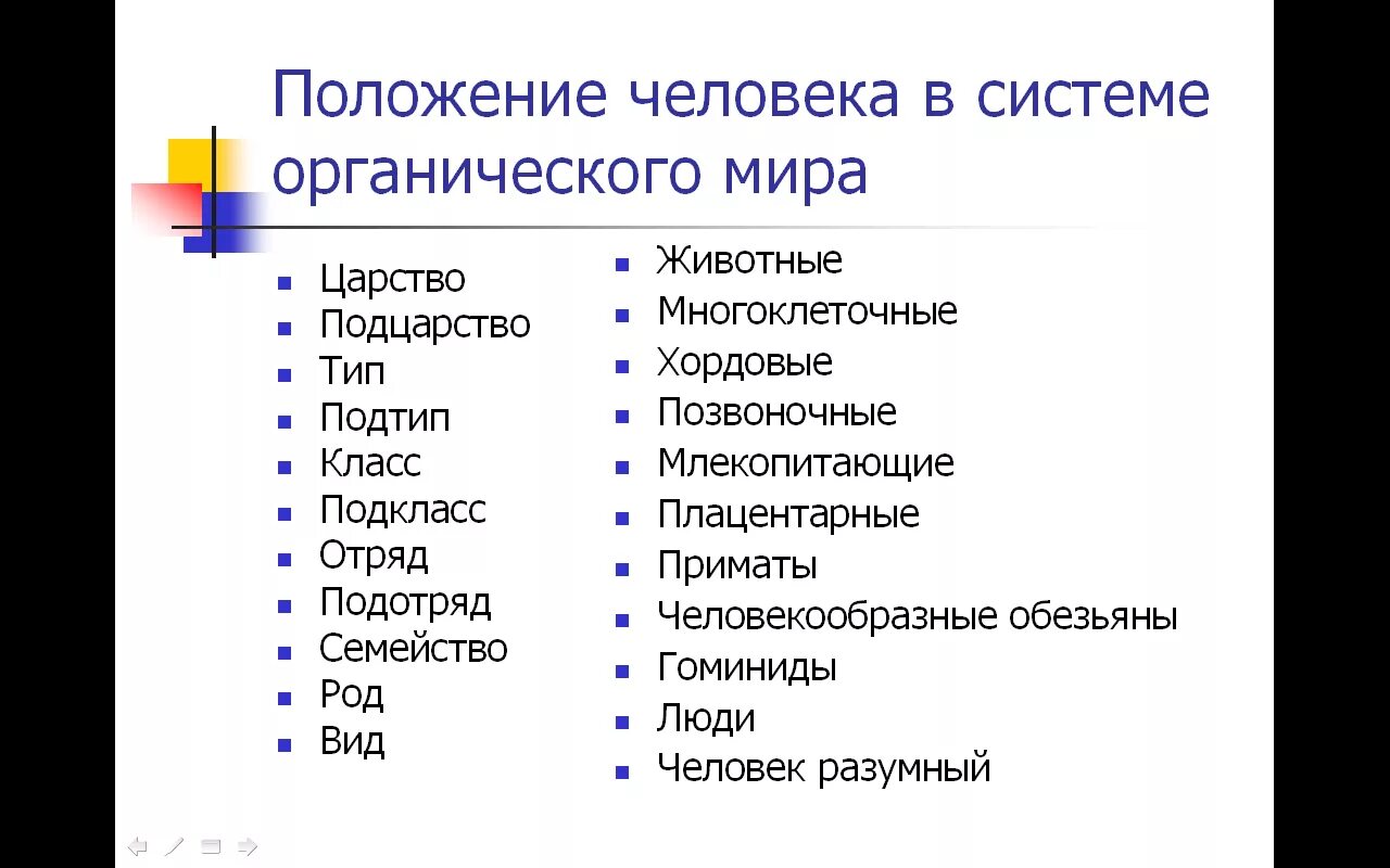 Положение человека в царстве животных