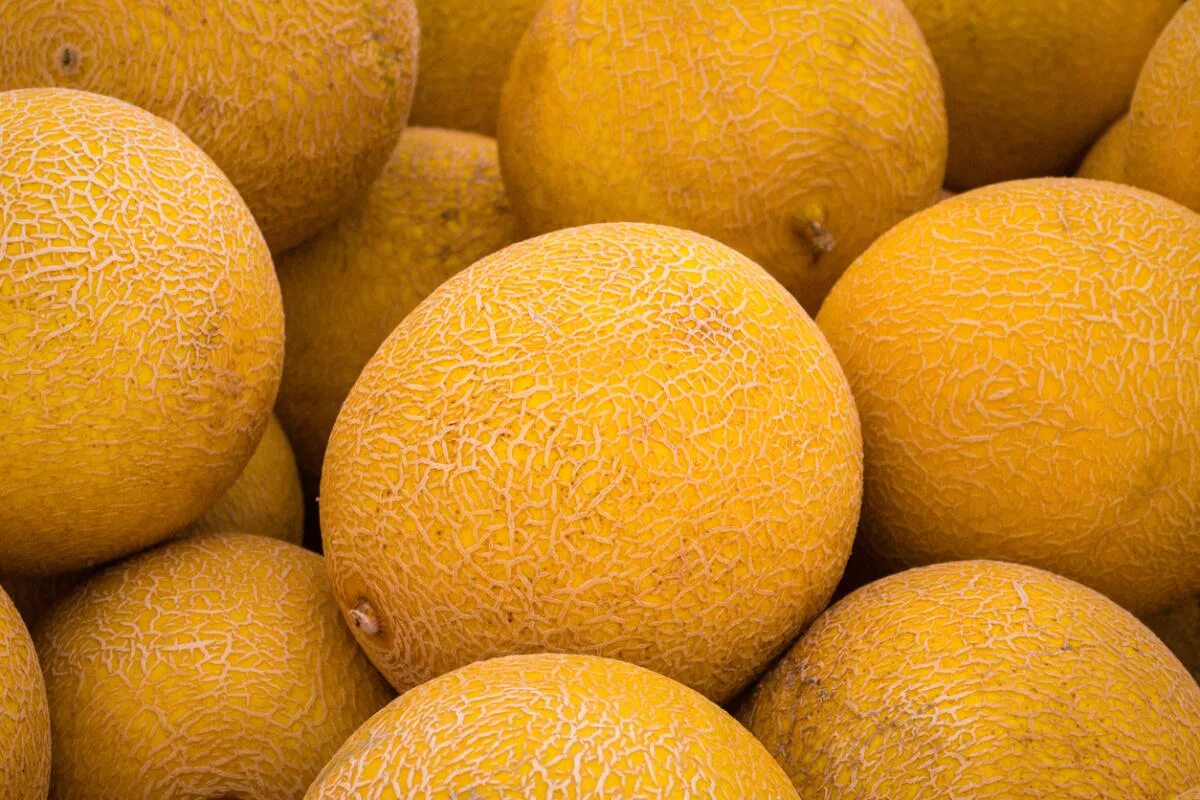 Дыня айкидо f1. Круглые дыни. Дыня сладострастница f1. Дыня гуляби, 1 кг. Дыня колхозница.