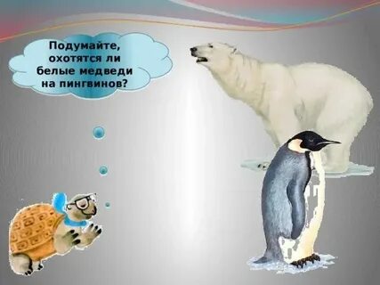 Медведи охотятся на пингвинах
