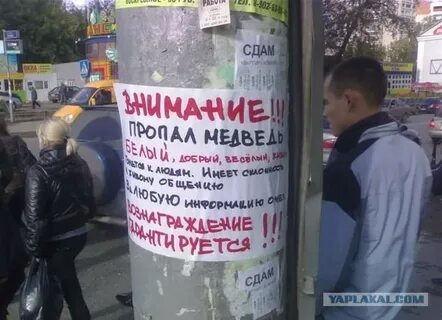 Потерялся сережа