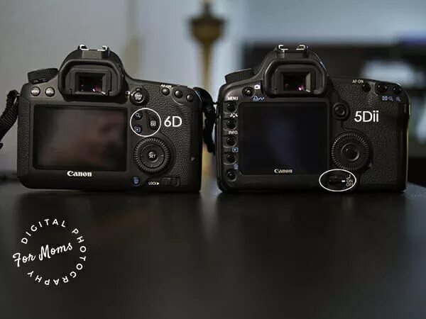 Canon 5d vs 5d mark. Canon EOS 6d Mark II vs. Canon 6d vs 5d Mark II. Canon 50d vs 5d Mark II. 5d Mark 2 vs 6d mark2.