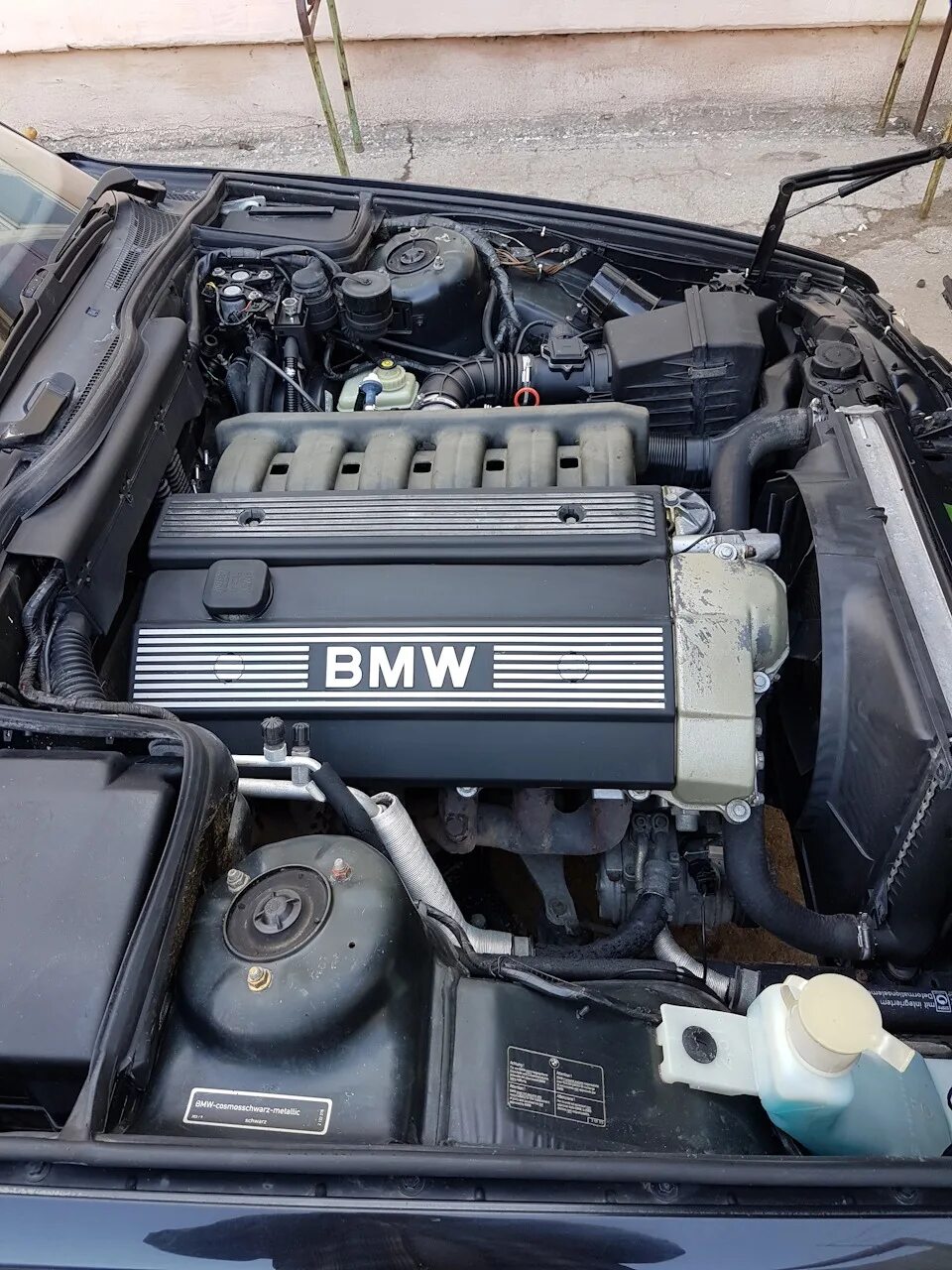 Мотор м б. БМВ м50б25. Мотор BMW m50b25. BMW e34 m50 мотор. BMW e34 м50.