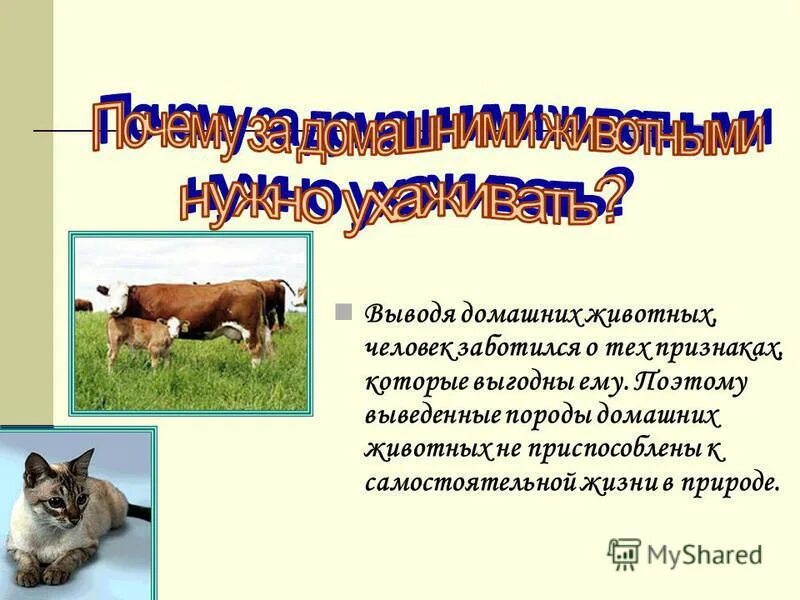 Выводить породу