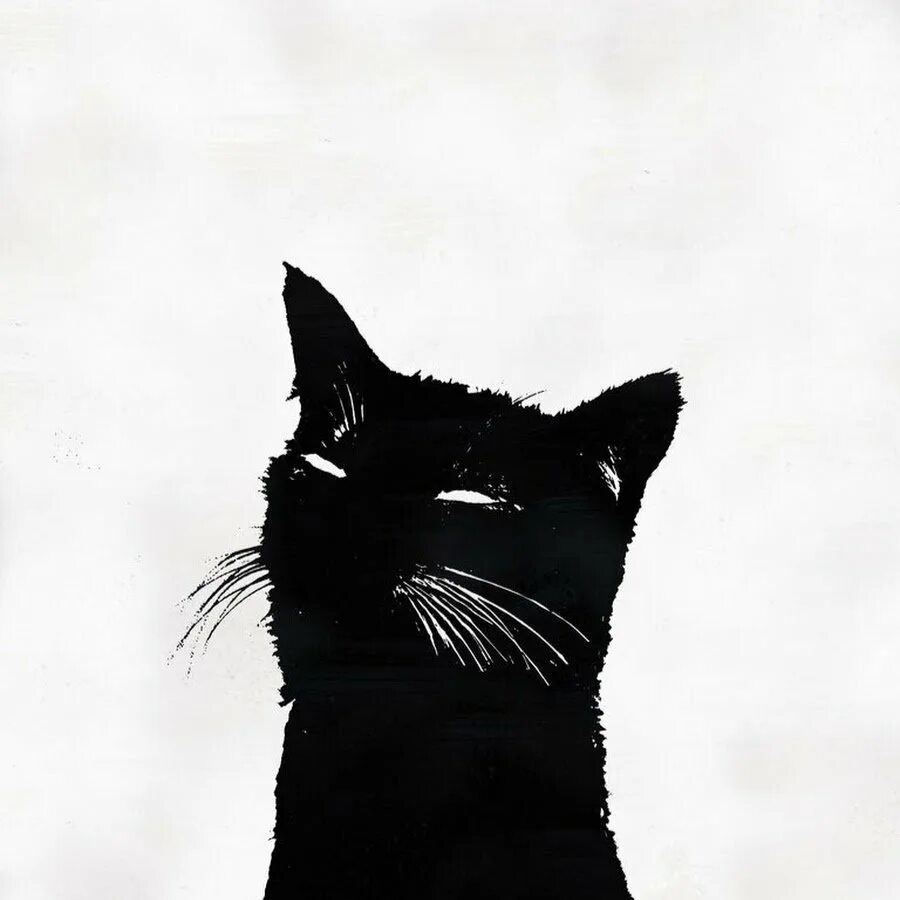 Черная кошка. Черно белые коты арт. Эскизы тату аниме. Черный кот арт коты воители. Кот арт.