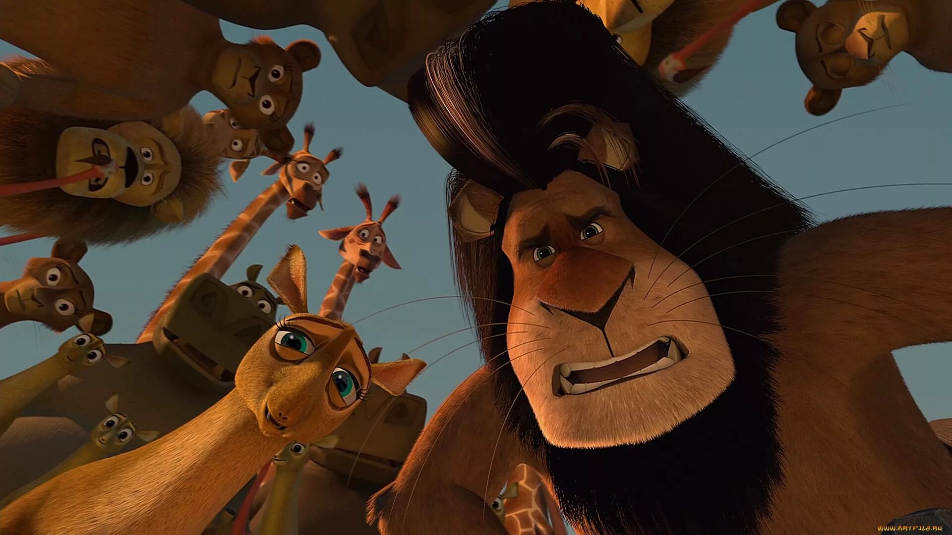 Мадагаскар 2 / madagascar: escape 2 africa. Мадагаскар 2 животные. Мадагаскар мультфильм 2005. Мадагаскар 2 животные. Мадагаскар мультфильм марти.