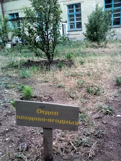 Земельные участки школ