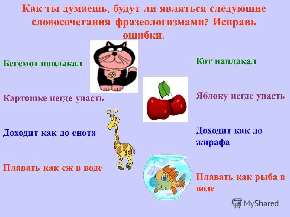 Яблоку негде упасть значение фразеологизма. Яблоку негде упасть значение фразеологизма