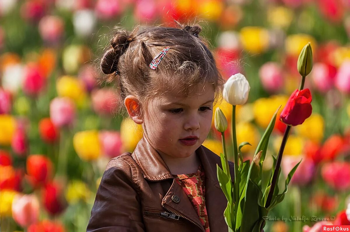 цветочек с улыбкой. фон смайлики. оттенки смеха. красный смайлик. дети цветы жизни.