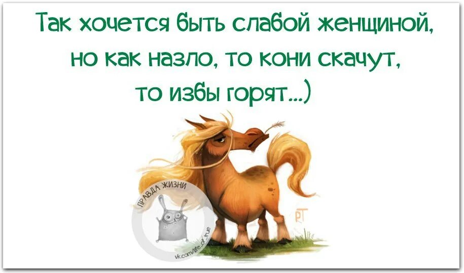 Песня хочу быть бабой слабой