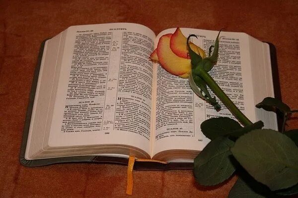 Библейские стихи. Цитаты из библии. Библия книга. Христос слово божие. Слово бога книга.