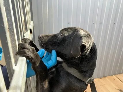 Акция время добра