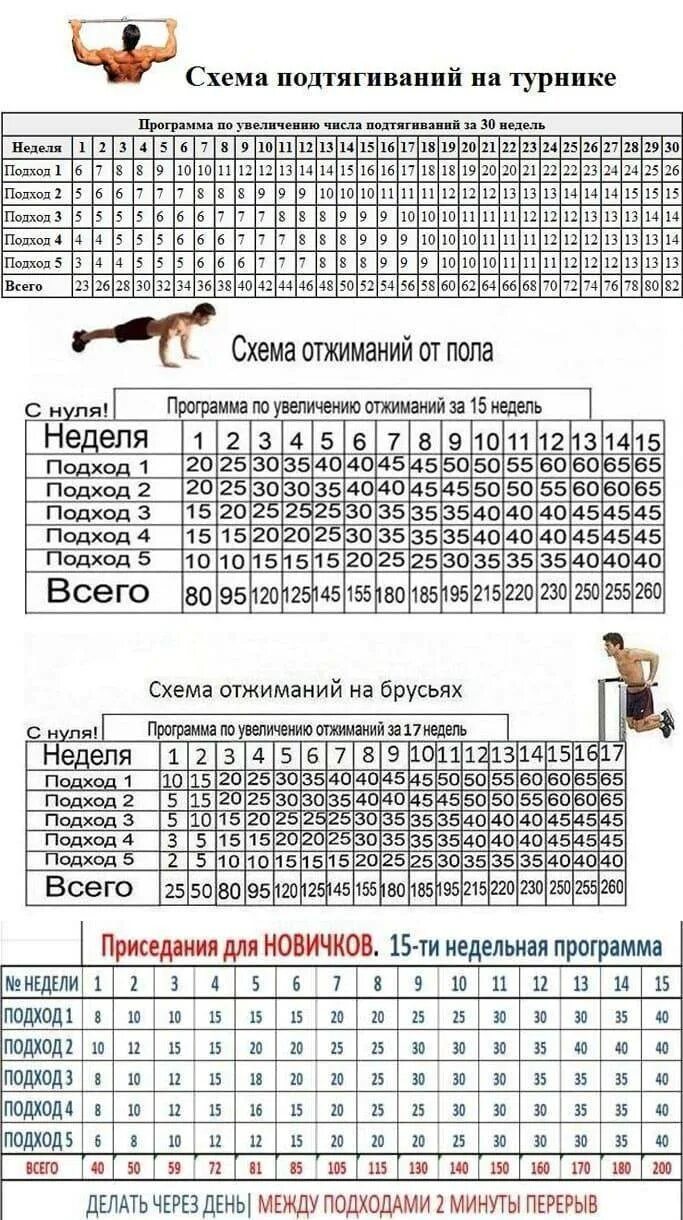 Программа подтягиваний для начинающих. Таблица подтягиваний на турнике с нуля. схема тренировок отжимания брусья и турник.