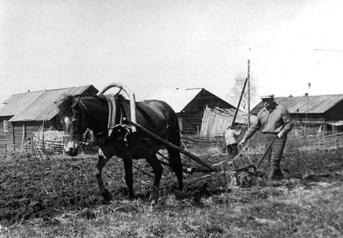 Коми 18 век. Коми пермяки земледелие. Карелы земледелие. Земледелие мордвы. Мордва сельское хозяйство.