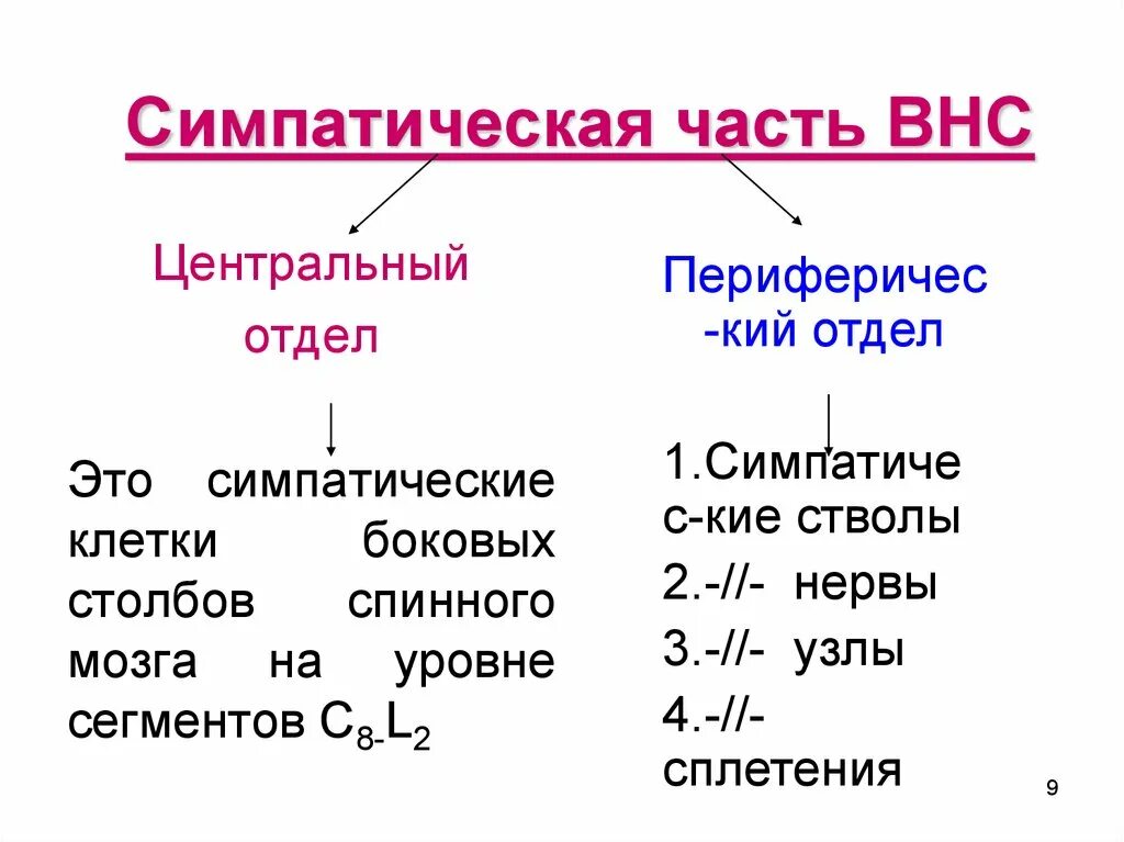 Функция вегетативной нервной системы является. Функция вегетативной нервной системы является