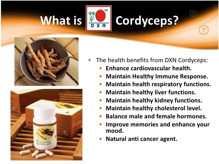 DXN продукция Cordyceps. DXN Cordyceps Coffee. DXN Cordyceps капсула. Кордицепс мицелий.