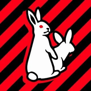 The bunny