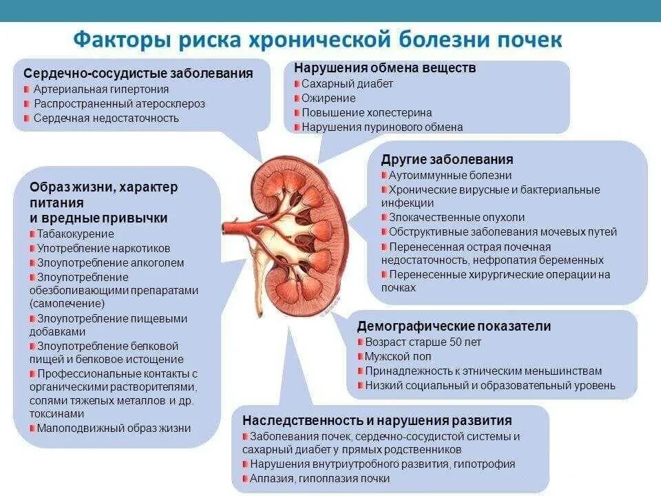 Хронический пиелонефрит факторы риска развития заболевания. Хроническая болезнь почек факторы риска. Факторы риска почечной недостаточности. Факторы риска возникновения пиелонефрита. Одной из причин почечной недостаточности является