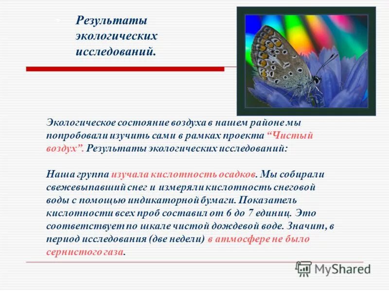 Результаты экологического проекта