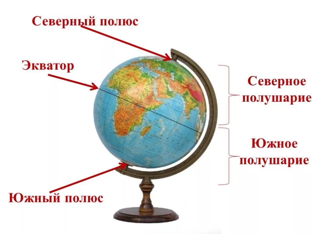 Глобус тест 2 класс. Северное полушарие Северный полюс Южный полюс. Северный и Южный полюс на глобусе. Южный полюс земли на глобусе. Экватор Северный и Южный полюс.