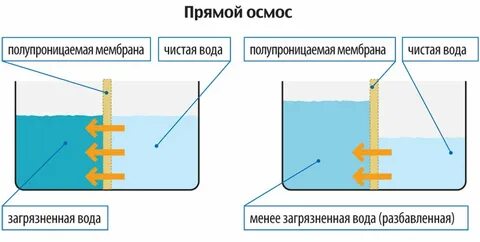 Сначала воск или осмос
