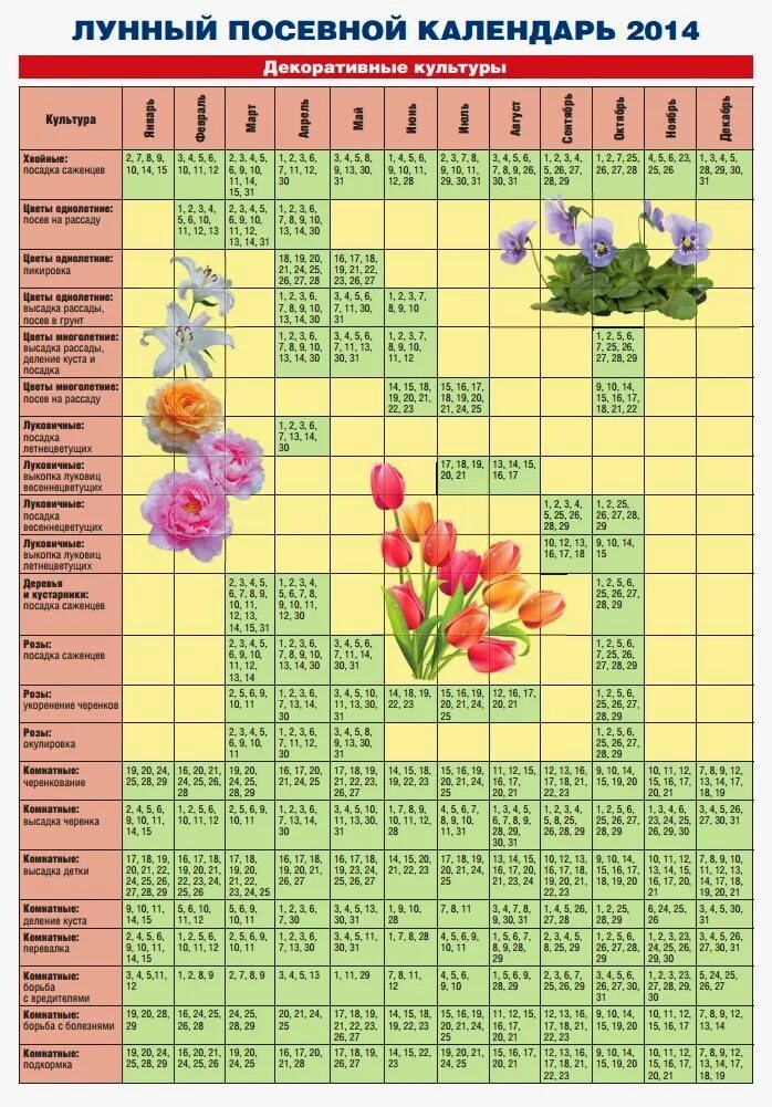 Календарь растений по годам