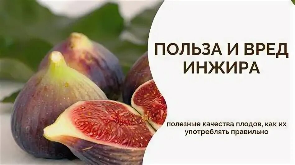 Чем полезен инжир. Чем полезен инжир для организма свежий. Инжир вид плода. Инжир полезные свойства. Чем полезен инжир.