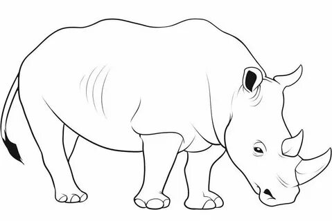 Носорог рисунок детский (52 фото) .