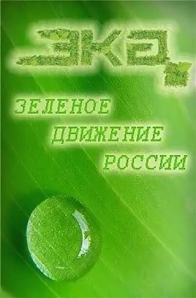 Зеленое движение 7. Эка зеленое движение россии. движение эка логотип. эмблема эка зеленое движение россии. зелёное движение эка логотип.