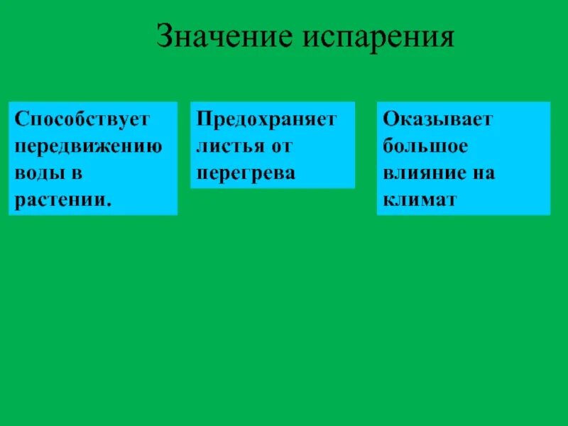 Значение испарения воды для растений. Значение испарения. Значение испарения воды. Каково значение испарения воды для растения.