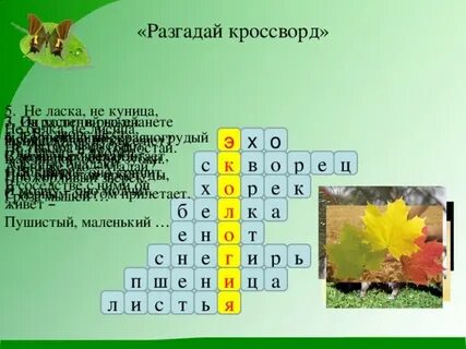 Вопросы на башкирском