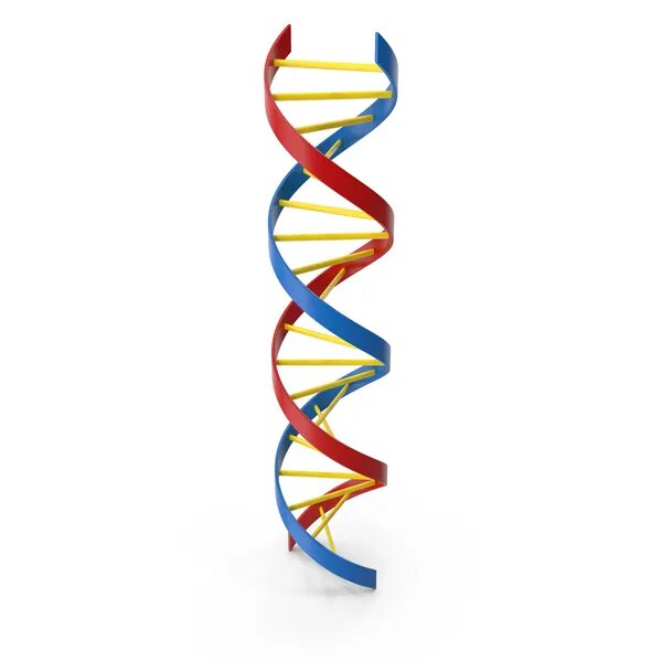 Модель ДНК. ДНК 3д модель. 3д ДНК стела. ДНК PNG.