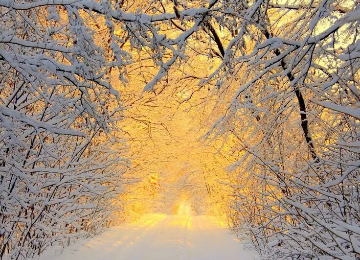 Pin by Люда on снег*snow, snowfall*зима*winter, wintertime* cold winter Winter s