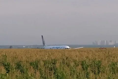 Самолет сел в горах