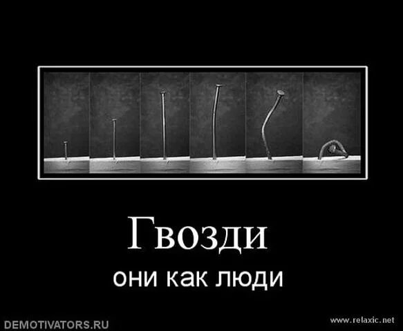 Живой гвоздь 2. Шутка про гвозди. Прикол «гвоздь». Смешные высказывания про гвозди. Поговорка про незабитый гвоздь.