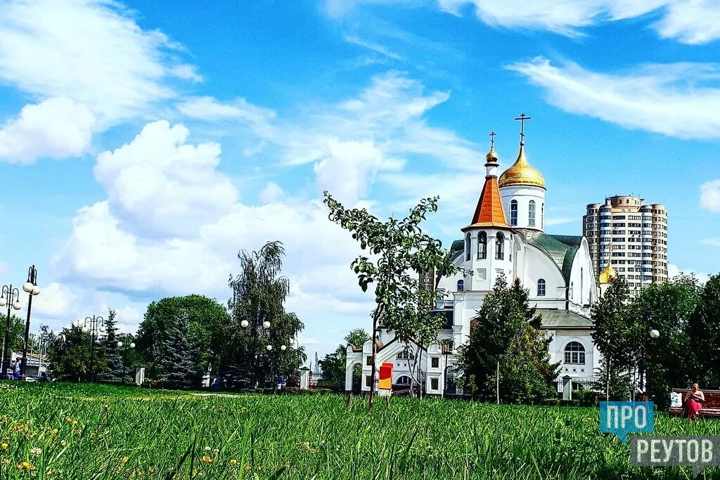 Реутов город Московская область. Город Реутов лето. Реутов городское поселение. Пустошь Реутов. Сайты реутов московская область