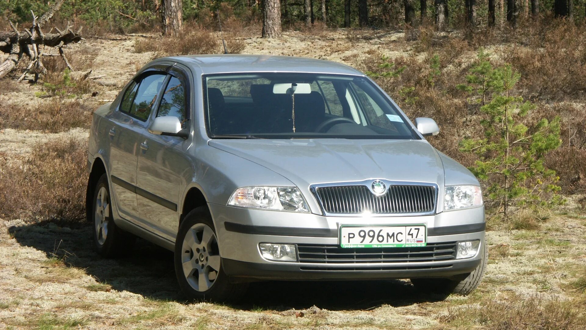 Шкода 2009 купить. Skoda Octavia 2009.