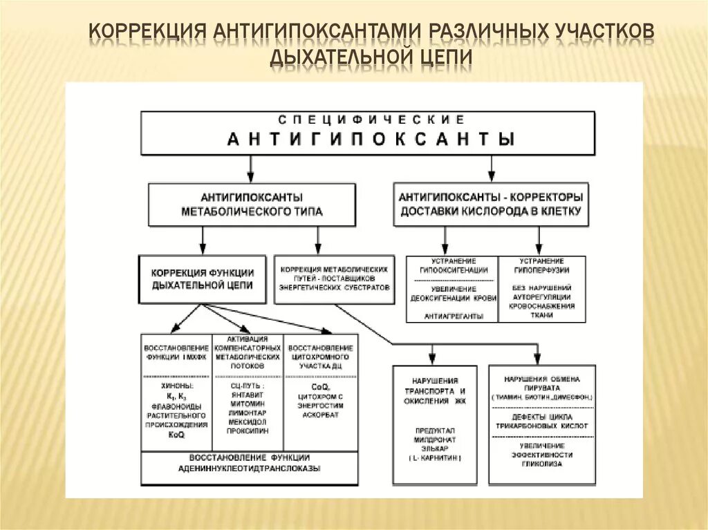 Гипоксия мозга препараты. Механизм действия антигипоксантов. Антигипоксанты препараты классификация. Антигипоксанты препараты список. Антигипоксический витамин.