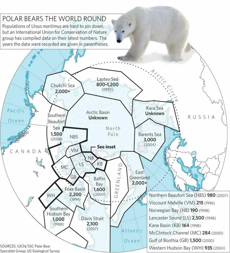 Карта обитания белых медведей. Территория обитания белого медведя. Обитание полярного медведя на карте. Где обитают белые медведи на карте. Как можно объяснить ареал обитания белого медведя