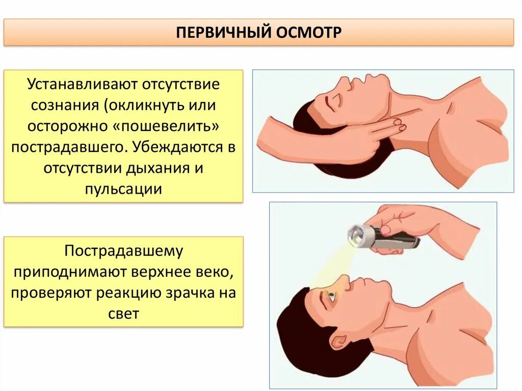 Отсутствие дыхания у пострадавшего. Первая помощь первичный осмотр. Первичный осмотр пострадавшего.