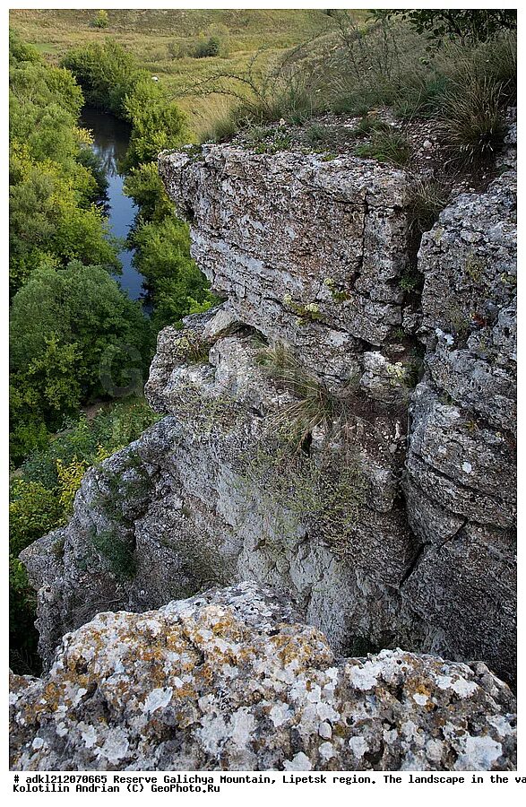 Погода галичья гора. Галичья гора. Заповедник галичья гора воргольские скалы. Летопись природы заповедника. Галичья гора фото пляж.