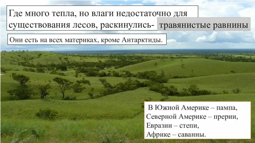 Природная зона равнина. Природные зоны 6 класс география. Почвы в природных зонах презентация. Обитатели травянистых равнин. Птицы на травянистых равнинах.