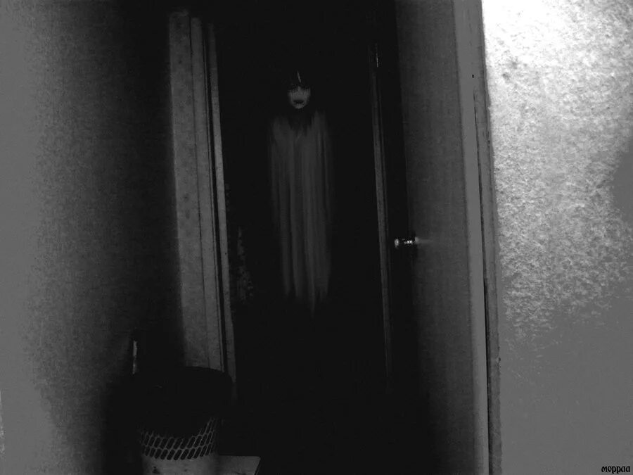 страшный силуэт в темноте. призрак девушки в белом платье. жутко стоящие. джодель ферланд 2007. жуткий силуэт.