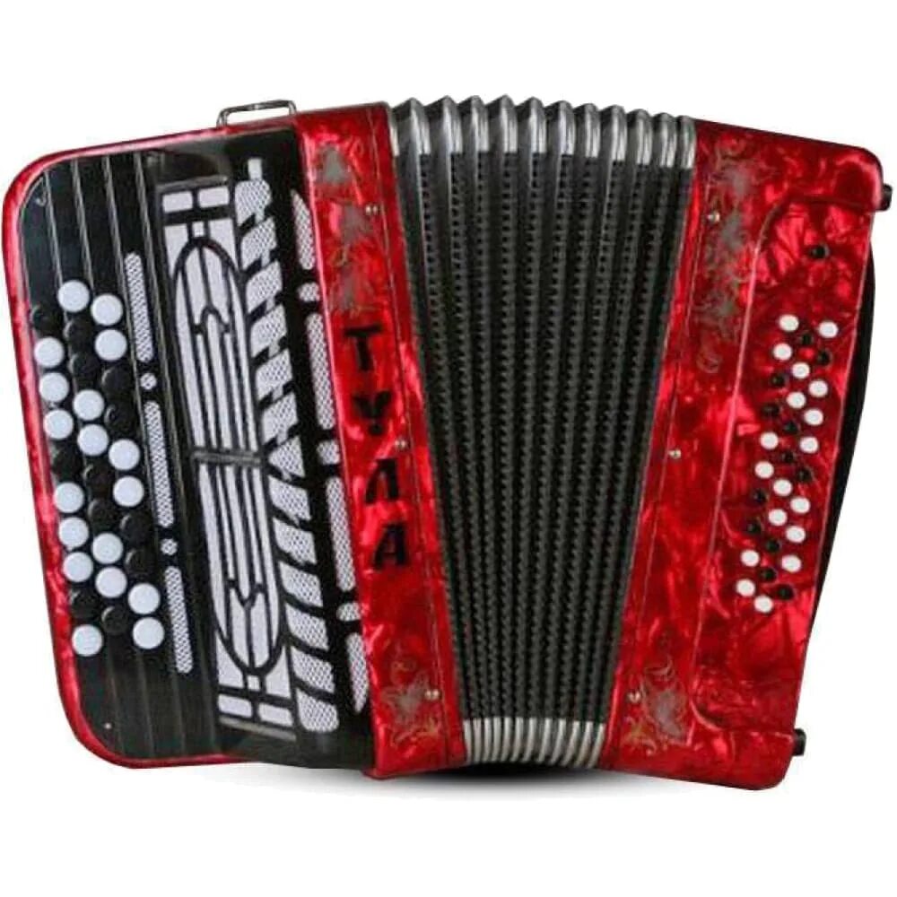 Баян тула 210 бн 39 трехрядный. Баян этюд цельнопланочный. Трехрядная гармонь. Баян этюд 205м. Баян тула бн-56 ученический.