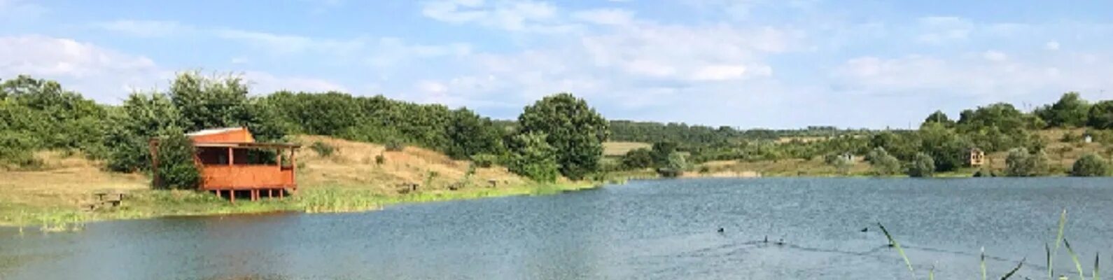 Запуск рыбы село ароматное. Запуск рыбы село ароматное. Зарыбленный пруд. К чему снится свадьба сухой пруд запустили рыбу. Запуск рыбы село ароматное.
